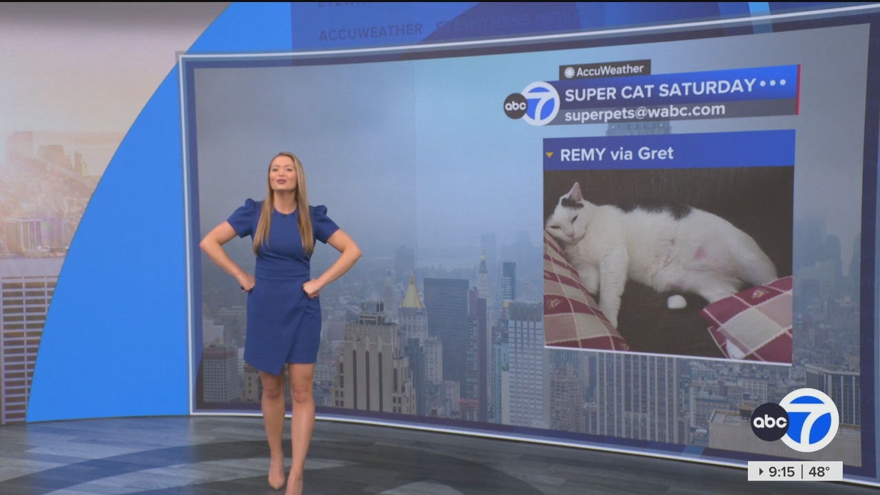 Eyewitness News This Morning_20250322_13001400.ts_snapshot_00.16.26.348