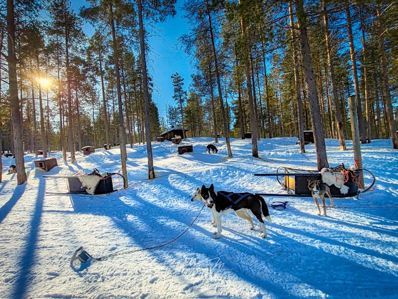 PARTE II - Auroras - 3.er reportaje por Laponia norte - Marzo 2025 (12)