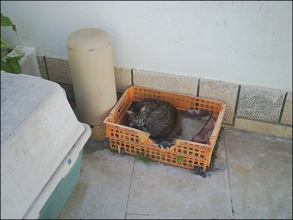 Albufeira old town 290326 (7)