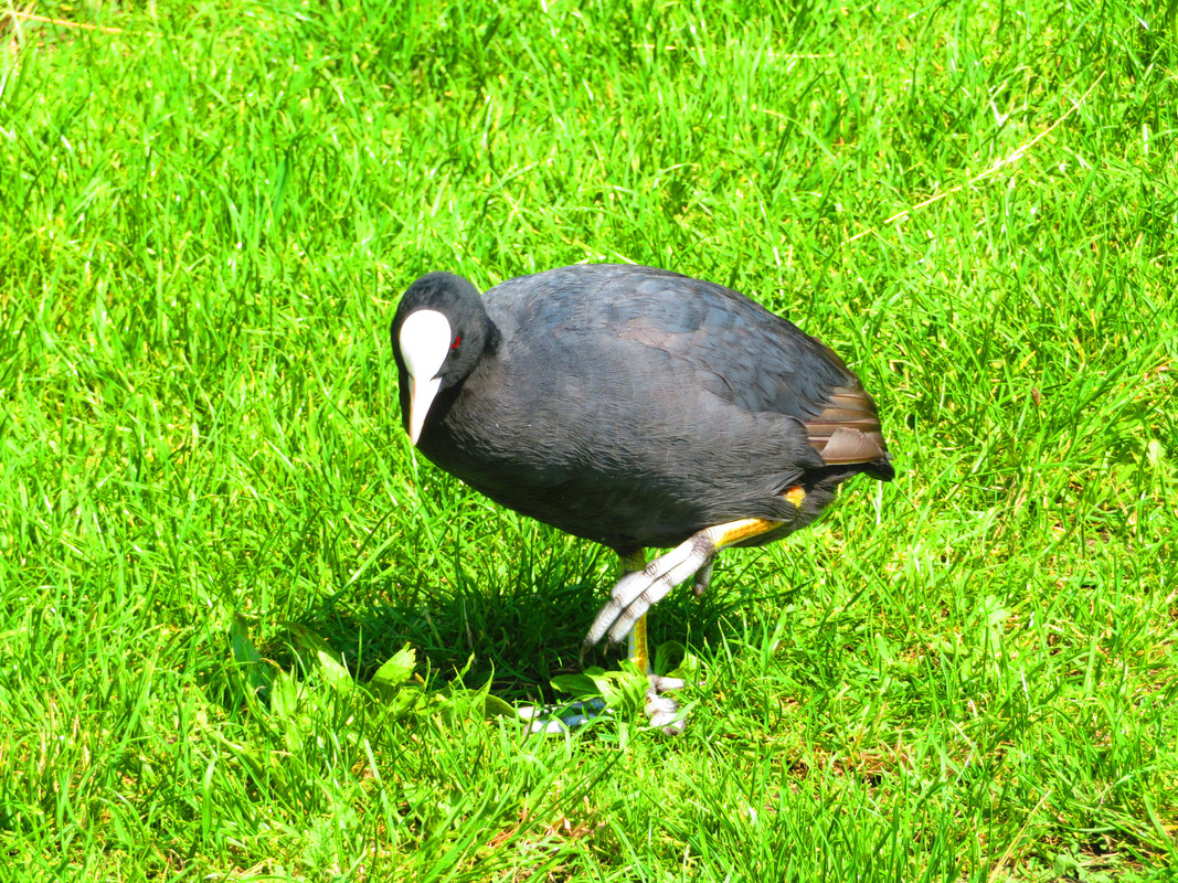 IMG_8696