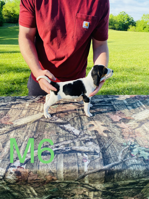 80D97621-B27C-4276-A727-1B1B0877A973