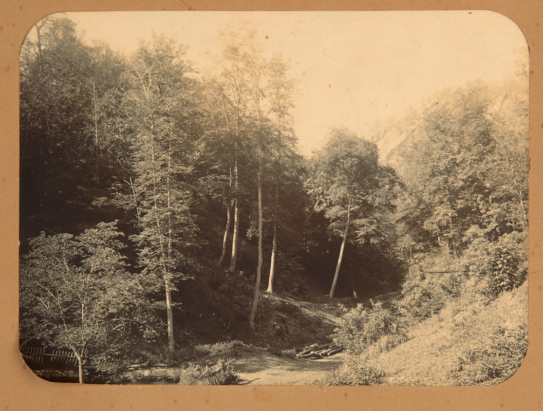 Сокорнов_По_дороге_в_КД_монастырь