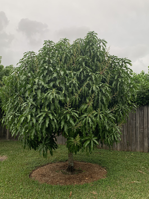 7002277A-F3D8-44CA-AD00-C811E487B19F