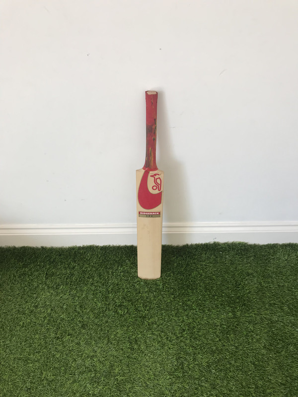 1A255343-A291-4E6B-A4C9-951ADE04F4D1