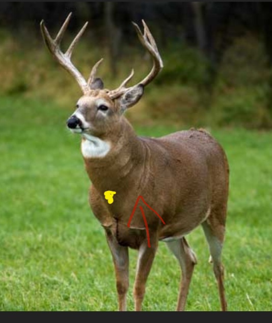 C2D4B8CB-C676-4976-BDE7-C19A208D66B5