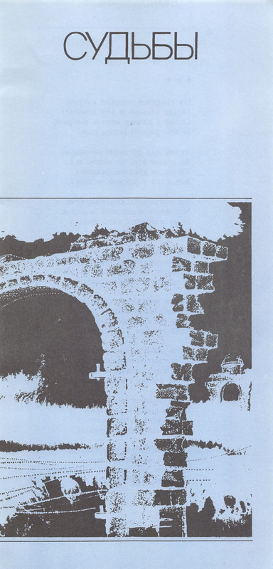 Владимир Солоухин «Северные берёзы _page-0036