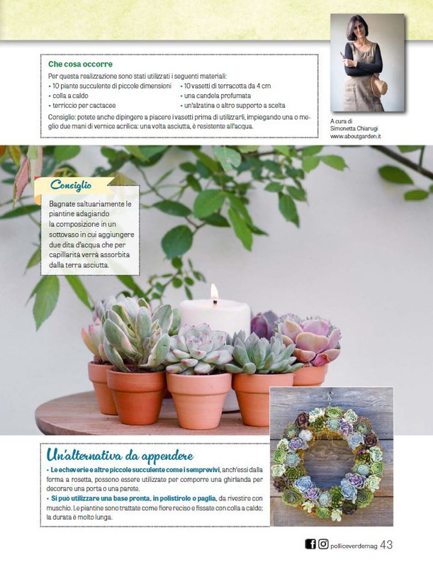 Pol Ver Giu 2025 (8)