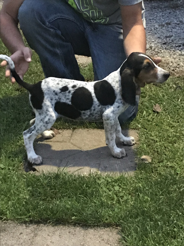 0E6E38DC-95B4-478D-B724-071119FD9B59