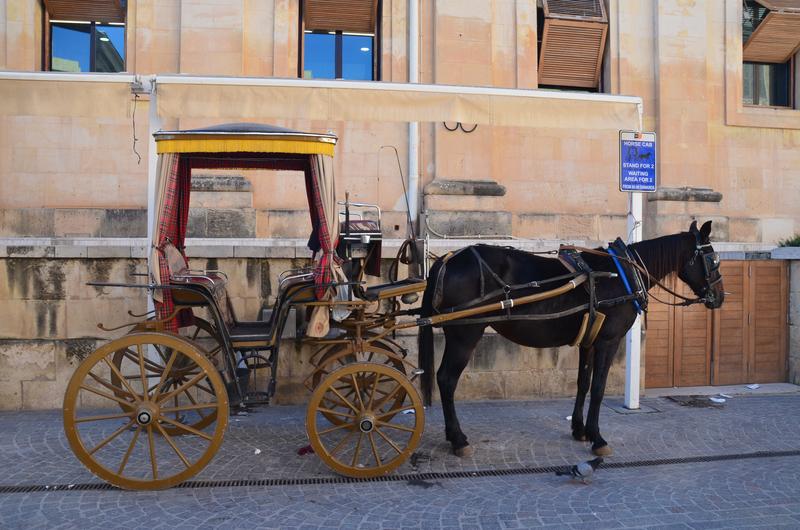 LA VALETA-21-11-2018-MALTA - Malta y sus pueblos-2018 (53)