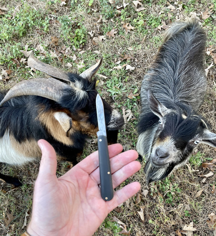 BF9395A1-4698-4C0F-9101-0DD8EF3F5B6B