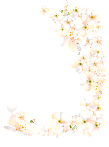 cicek-kenar-susleri-png-resimleri-1.png