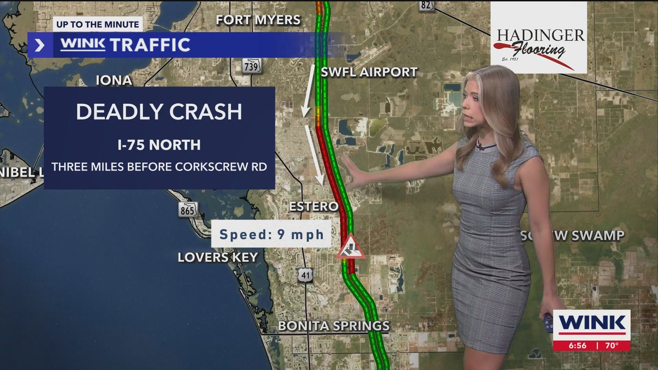 WINK News at 630am_20241101_10301100.ts_snapshot_27.38.953
