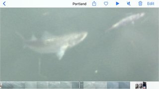 D4C65E8E-1BDF-4A7A-8EAD-0F4F778AABE2