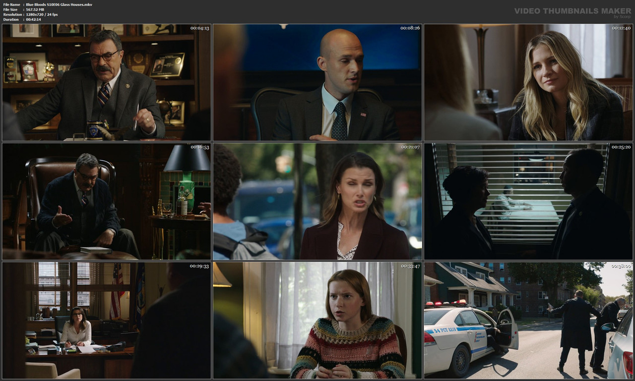 Blue Bloods S10E06 Glass Houses.mkv