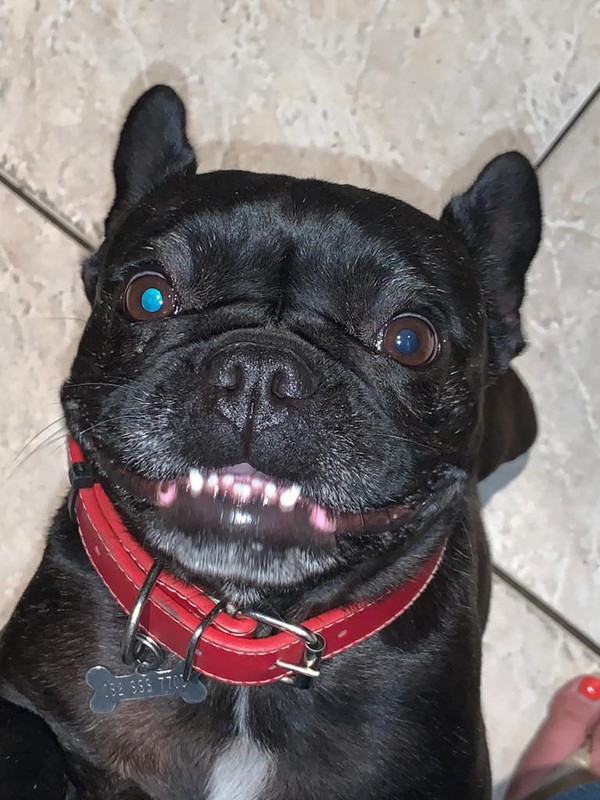 EF07B460-D6E3-4295-8B6E-6C6F5DD425CE