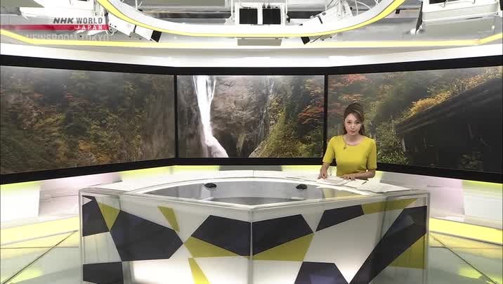 [Image: dc532eimk6bw.jpg]