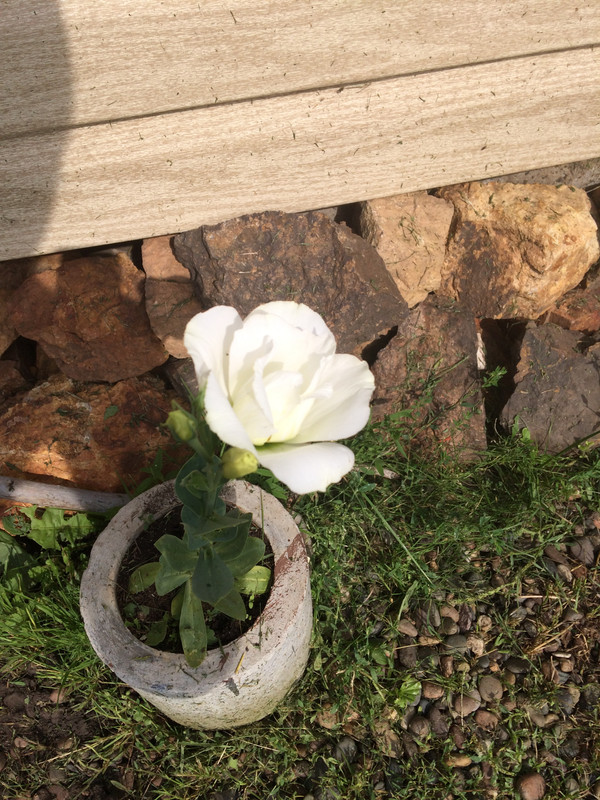 CADA1EFC-04F8-4F95-8509-77E65F3911AF