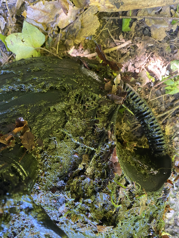 3EC5BC32-ED60-4192-AC9E-1C5C60E7196B