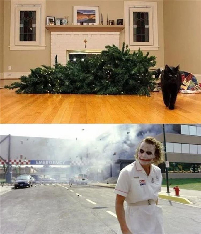 your-tree.jpg