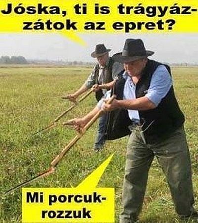 https://i.postimg.cc/sx9c4wKJ/joska-ti-is.jpg