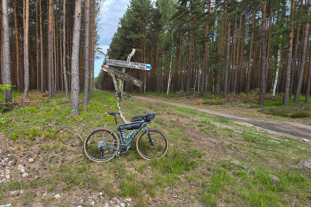 fr-01-06-2025.jpg