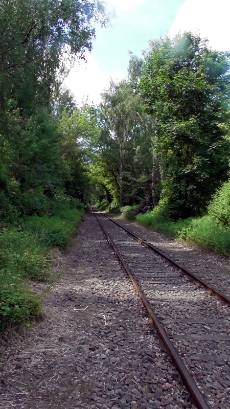 S1470157