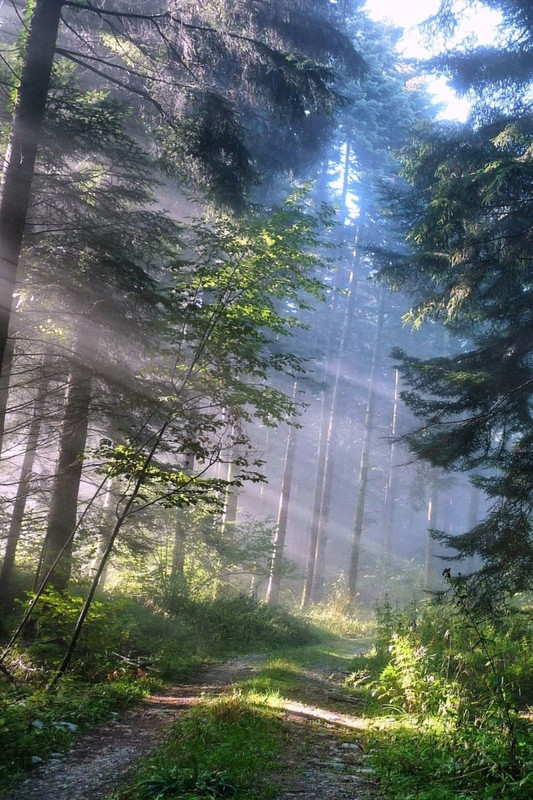 ECF02D1E-582D-4F36-8EF5-C1AC66808F01