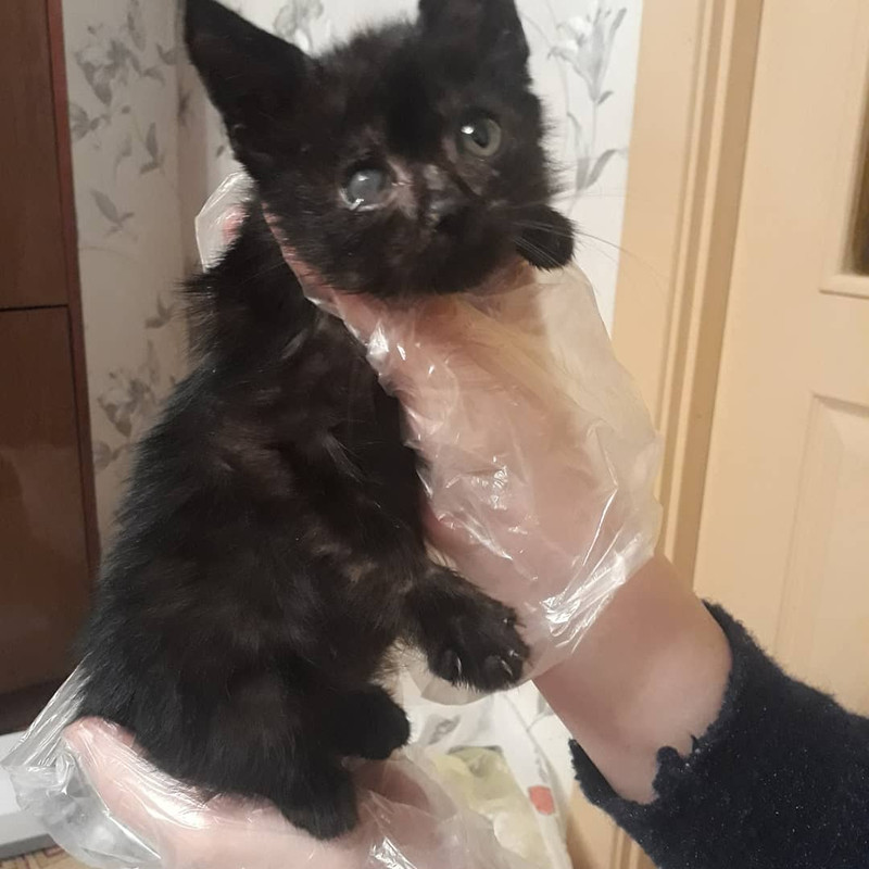 изображение_viber_2020-10-26_13-16-29