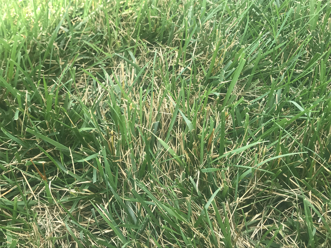 D4824CF5-DA22-4773-98FB-C20F3241CE12