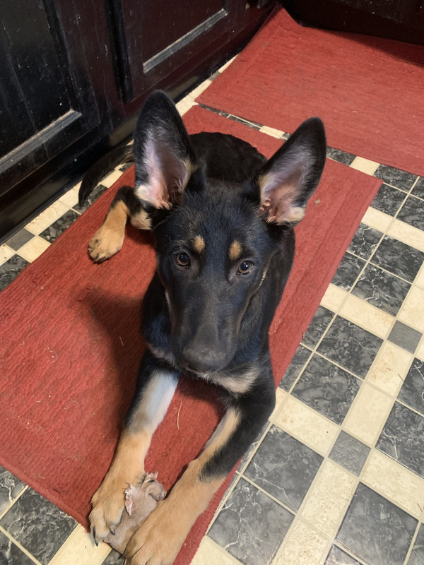 17341AE9-0F07-4028-B6E8-78DF51A5A92F