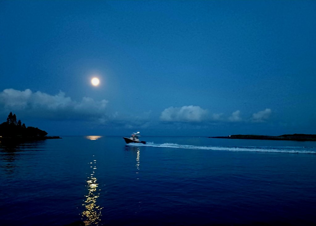 External inline image provided by member with no explanatory text