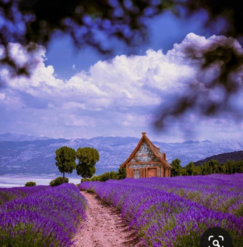 Screenshot_20230402_233315_Pinterest