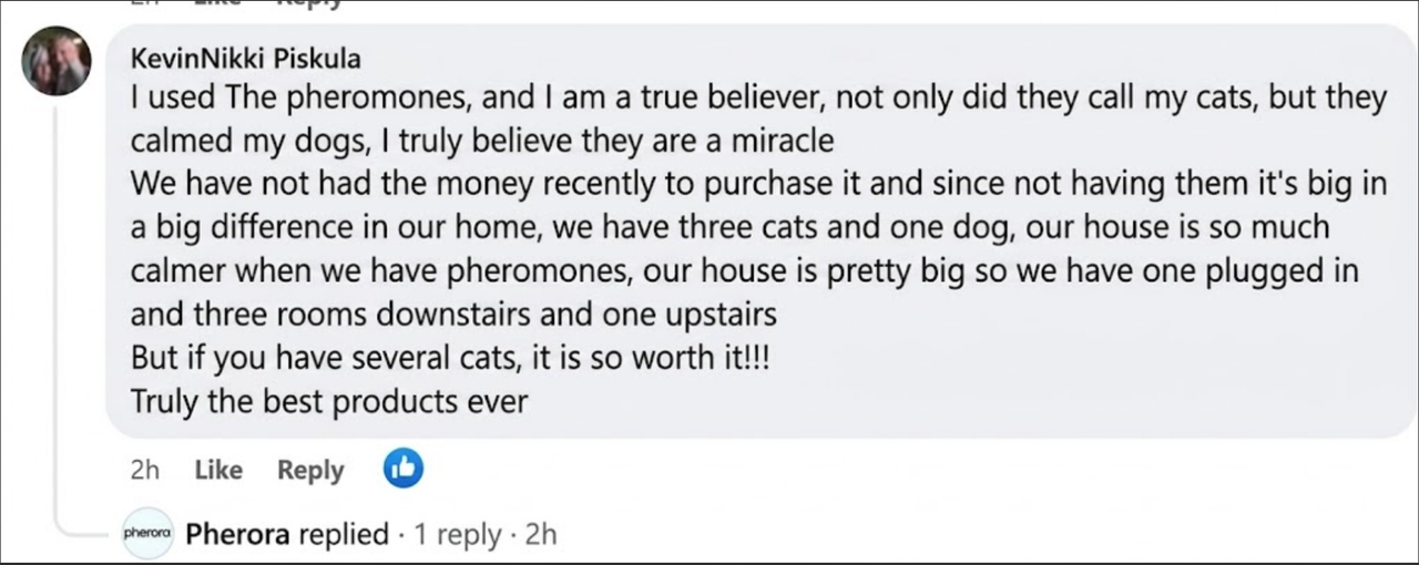 Customer review screenshot 4