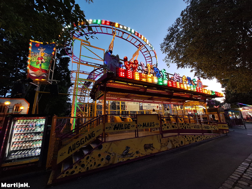 Wilde Maus - Dallinger (3)