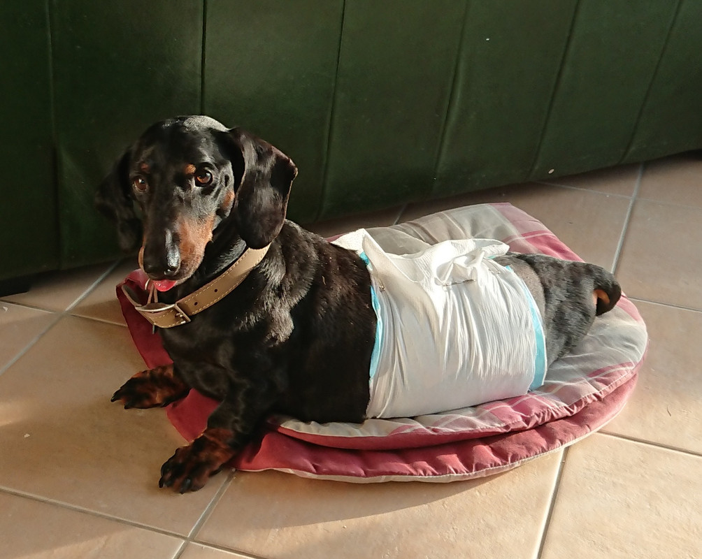 [Image: 20220402-084444.jpg]