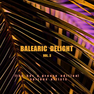 VA - Balearic Delight Vol. 3 (The Bar & Groove Edition) (2019) VA - Balearic Delight Vol. 3 (The Bar & Groove Edition) (2019)