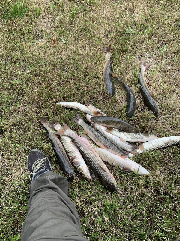 73911E32-D78E-4878-A8F7-D2FCF4082475