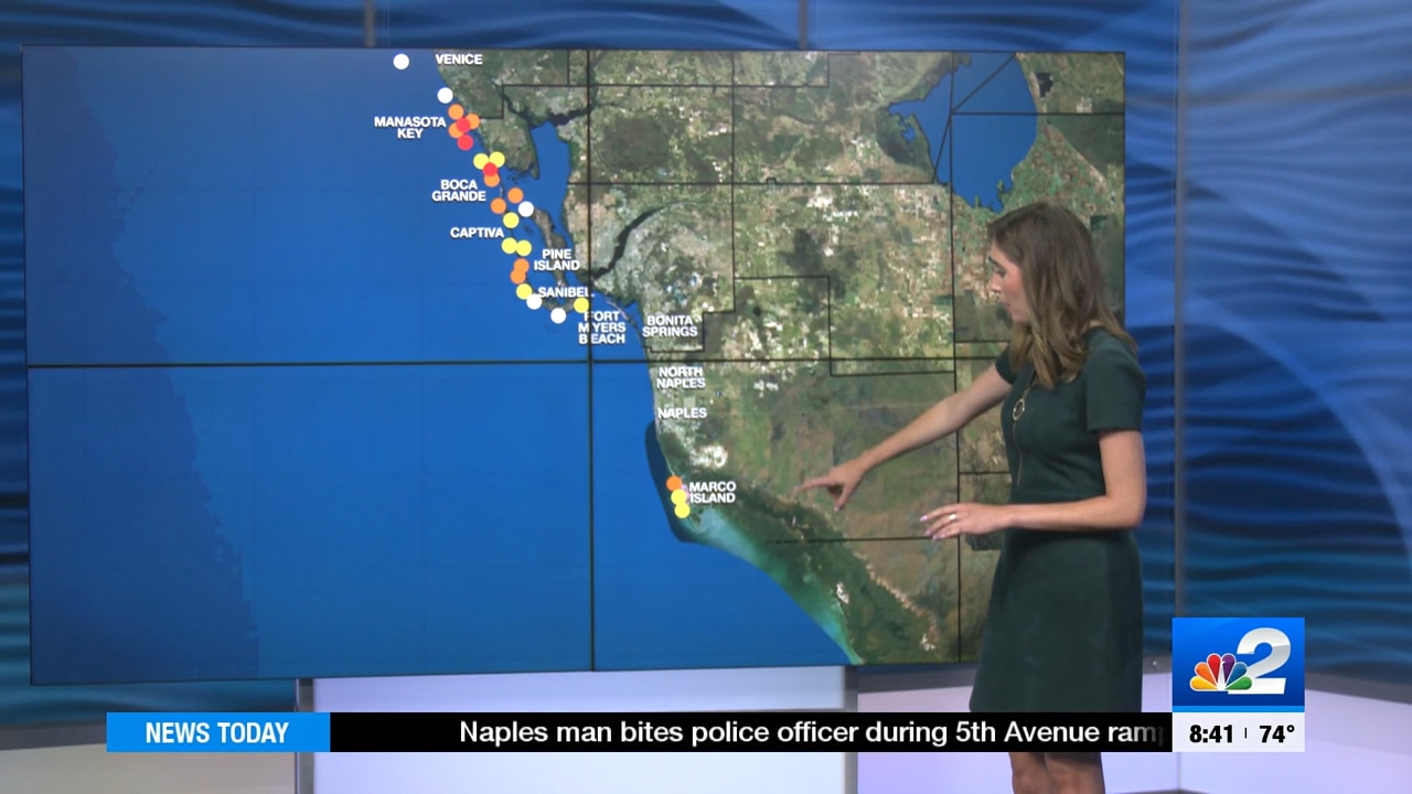 04.08 - 13.30.00 - NBC 2 News Today - Saturday  ᴺᵉʷ..ts_snapshot_00.17.29.473