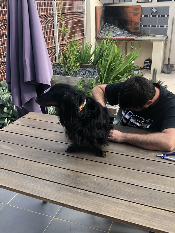 [Image: 2811-EC31-6-F2-E-42-BF-BD5-A-13-B42-B9-EA35-D.jpg]