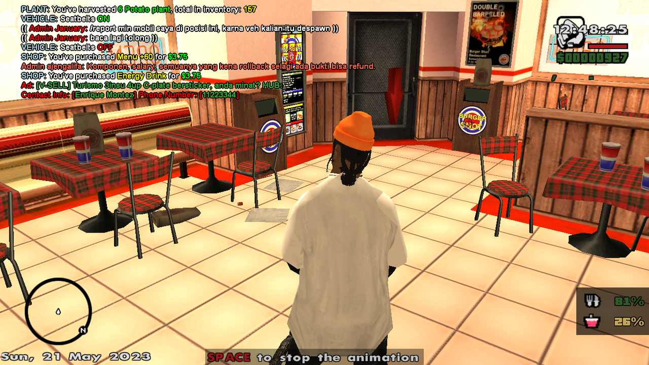 samp-21-05-2023-13-48-28.png