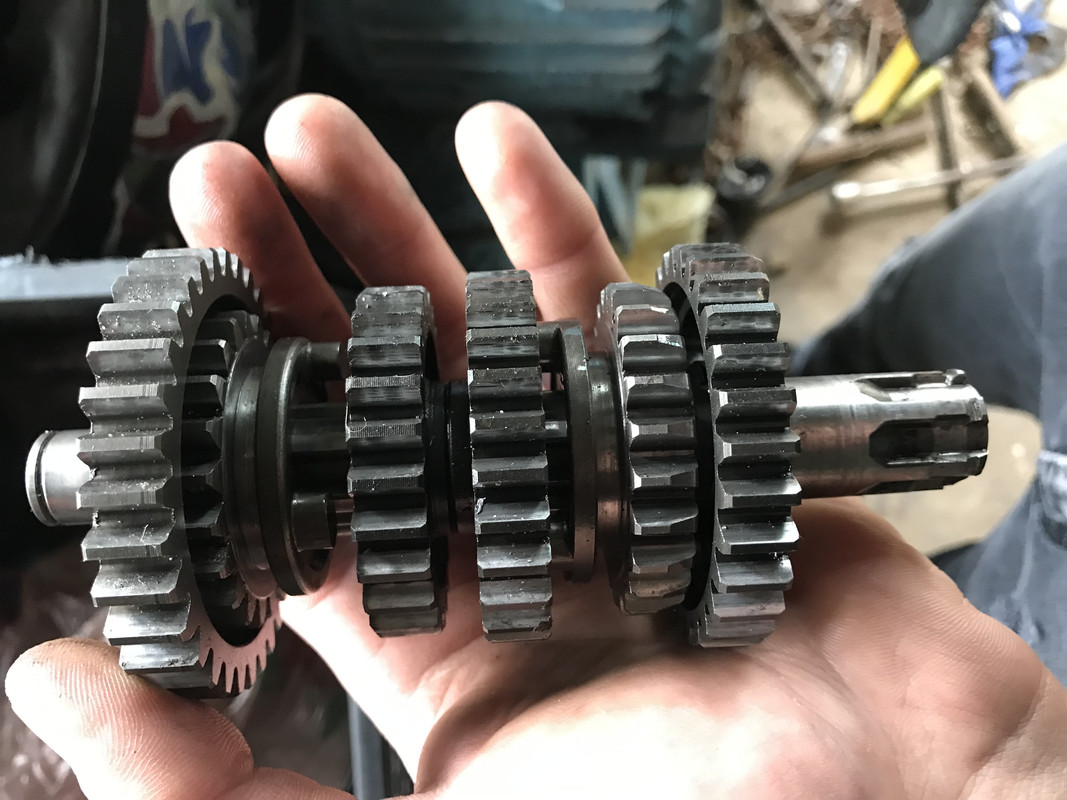 29F24C4E-55D6-4EF1-B49C-335ACEFC22EB