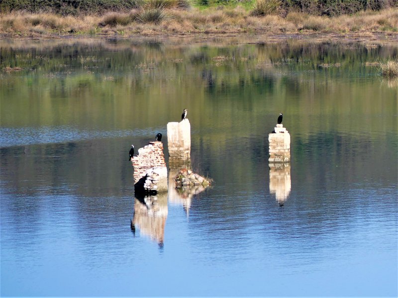 PARQUE NACIONAL DE MONFRAGÜE-2020/2023 - EXTREMADURA Y SUS PUEBLOS -2010-2023 (26)