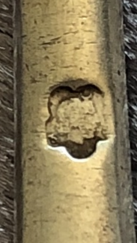 2F58C1B9-763D-4084-8D86-EA3860175835