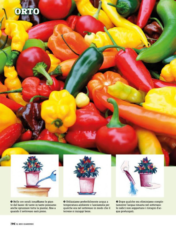 Il Mio Giar Mag-Giu 2020 (11)