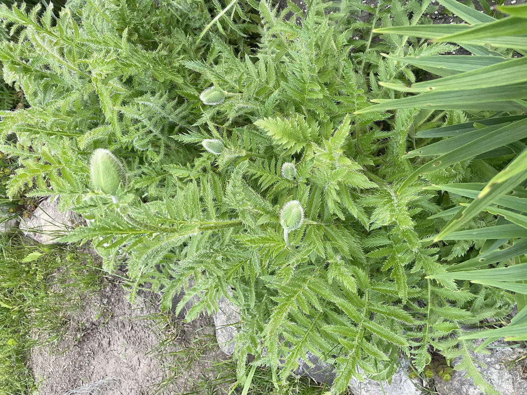 B196685C-AE0F-4085-9BA7-5DE8CF0EF9CF