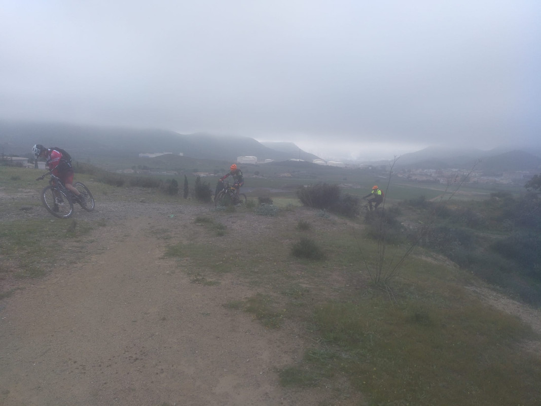 ASNOVESTRE ASNO BEJAR (3)