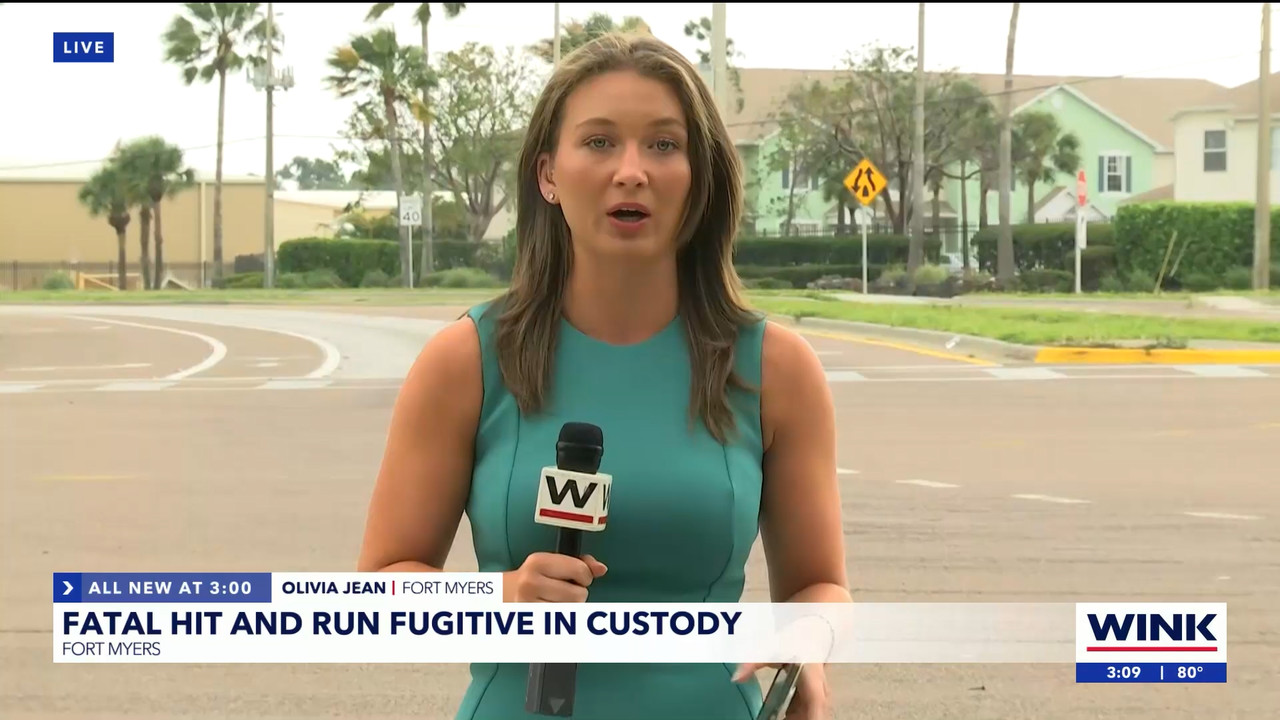 04.11 - 20.00.01 - WINK News at 3pm  ᴺᵉʷ..ts_snapshot_00.15.18.196