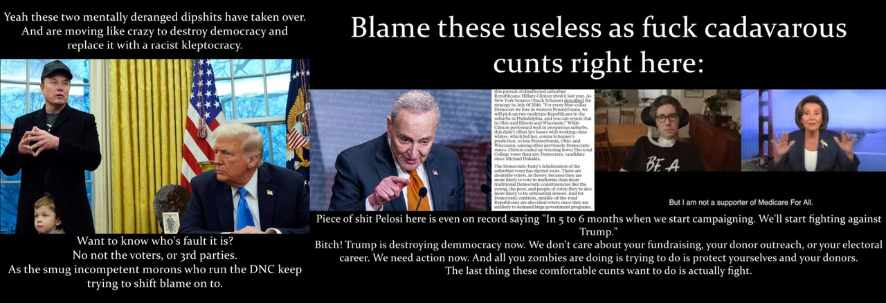 trump musk are schummer pelosi fault