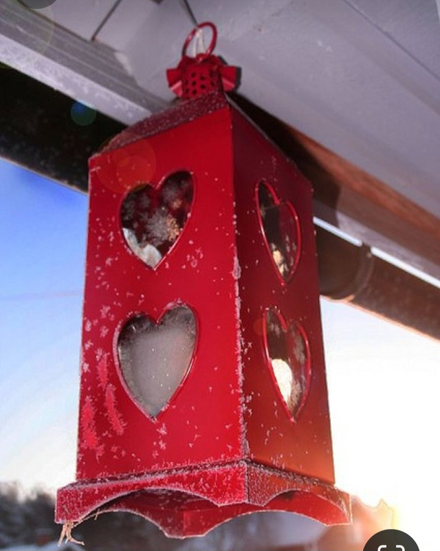 Screenshot_20240214_111738_Pinterest