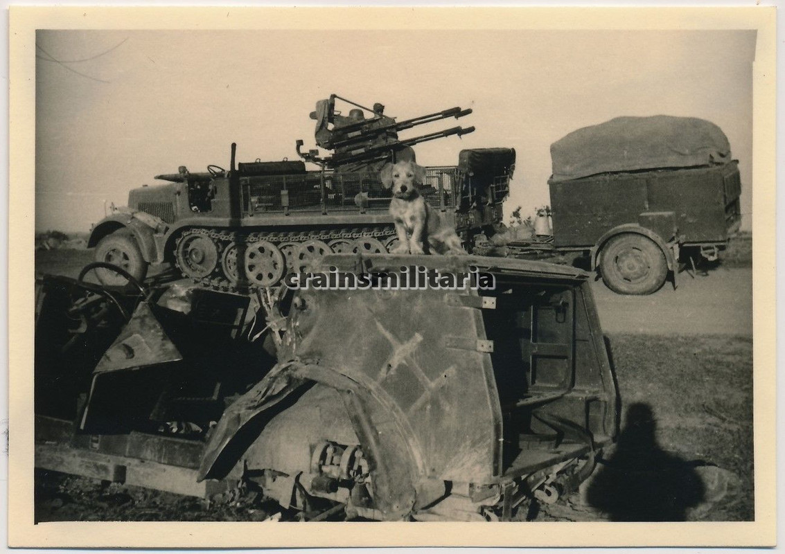 Orig. Foto Vormarsch SdKfz 7-1 Halbkette m. Flak Vierling Anhänger Russland 1941
